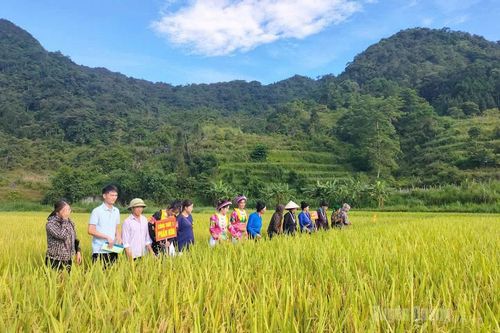 Rõ việc, rõ kết quả