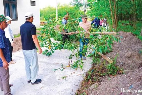 Phụ nữ Thanh Thủy hiến đất mở đường