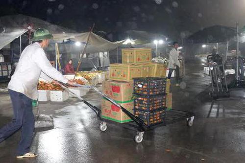 Phú Thọ: Khởi tố người phụ nữ chuyển khoản sai để chiếm đoạt hơn 1,2 tỷ đồng