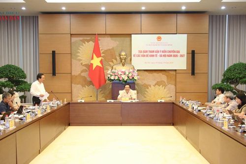 Tham vấn ý kiến chuyên gia về các vấn đề kinh tế - xã hội