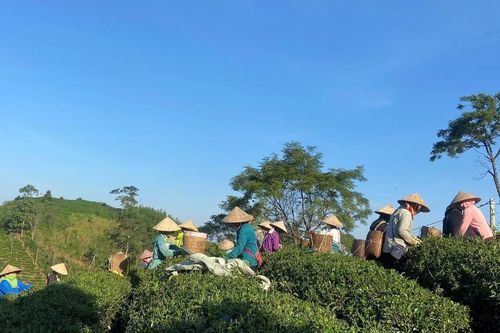 Dự báo thời tiết miền Bắc có nơi trời rét
