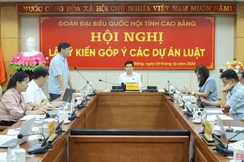 Lấy ý kiến các dự án luật lĩnh vực văn hóa - xã hội, môi trường trình Quốc hội khóa XVI
