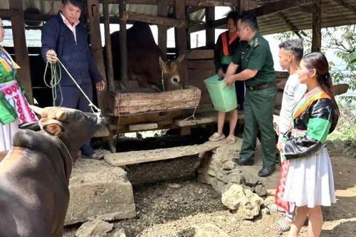 Bí thư chi bộ nơi khó nhất - Giữ 'gốc rễ' của Đảng trên dãy núi biên cương (Bài 3)