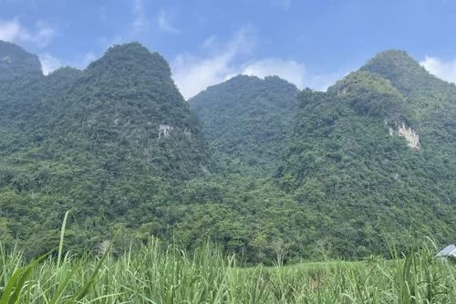 Ngày 10/10 không mưa, sáng sớm có sương mù ở vài nơi, đêm và sáng trời rét