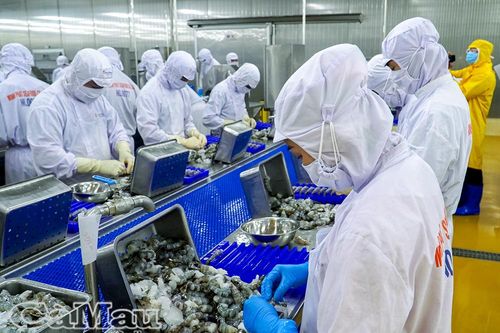 Sát cánh cùng doanh nghiệp, nhà đầu tư