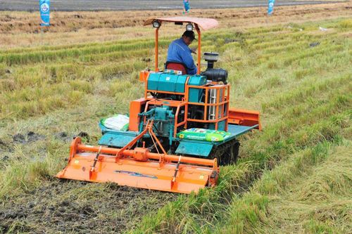 Giúp nông dân tiếp cận kỹ thuật xử lý rơm rạ hiệu quả