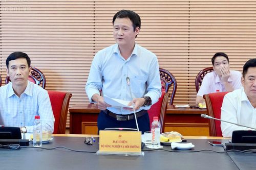 Giảm nghèo thực chất: Một số vấn đề đặt ra trong thực hiện CTMTQG phát triển văn hóa - xã hội, nông thôn, dân tộc và miền núi giai đoạn I (2026-2030)