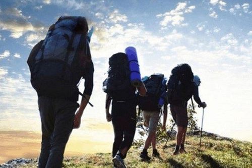 Xin nghỉ vì đau tay nhưng lại đi leo núi, nam nhân viên nhận quyết định sa thải