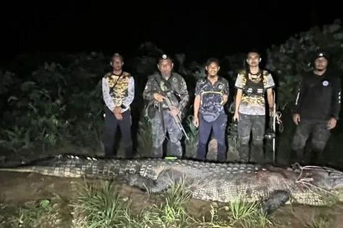 Chuyến câu cá bất ngờ biến thành cuộc 'chạm trán' với 'quái thú' khổng lồ dài hơn 4,5m, nặng trên 1 tấn dưới sông