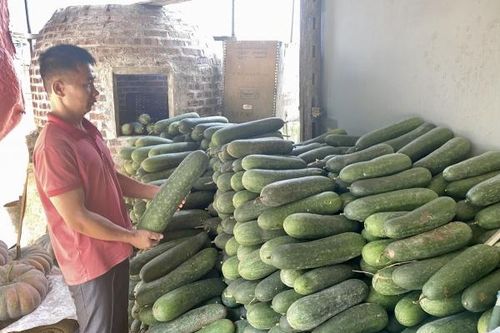 Làm giàu từ mô hình kinh tế tổng hợp của nông dân Phùng Văn Sướng