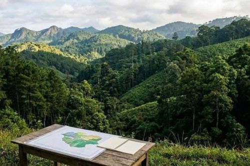 Lâm Đồng đôn đốc hoàn thiện phương án quản lý rừng bền vững