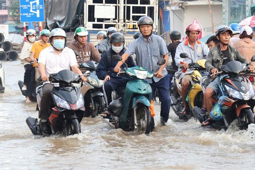 Cần Thơ xây dự án chống ngập gần 8.700 tỷ đồng