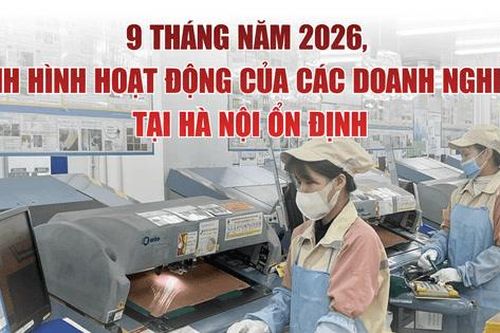 9 tháng năm 2026, hoạt động các doanh nghiệp tại Hà Nội ổn định