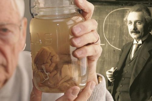 Chuyện gì đã xảy ra với bộ não thiên tài của Albert Einstein sau khi ông qua đời?