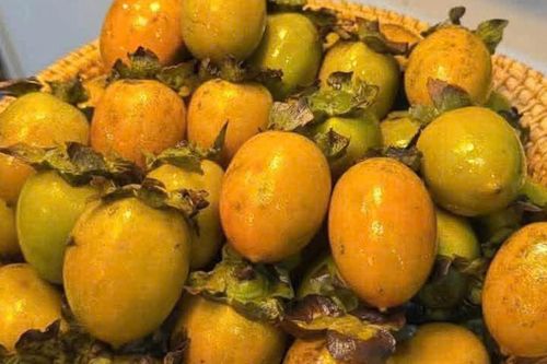 Nên ăn hồng ngâm vào thời điểm nào để tránh tác dụng phụ?