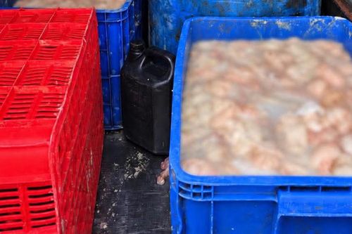 Ô tô chở 820kg lòng lợn bốc mùi hôi thối ở Phú Thọ