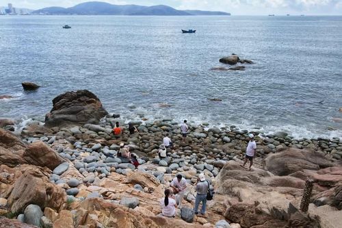 Công bố hành trình Xuyên Việt 39 ngày 38 đêm, mở cách khám phá Việt Nam linh hoạt