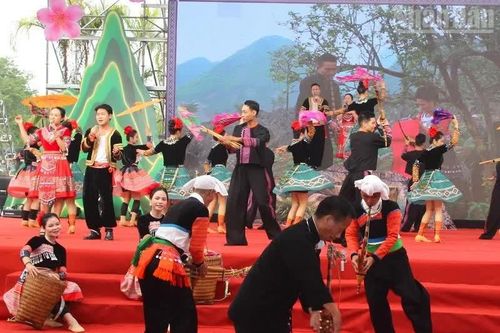 Đặc sắc Liên hoan 'Bảo tồn, phát huy bản sắc văn hóa dân tộc Mông trong đời sống đương đại' trong Ngày hội Văn hóa dân tộc Mông tại Điện Biên