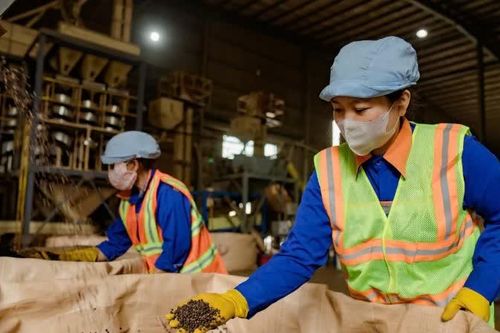 Cà-phê Việt Nam mở rộng thị trường xuất khẩu