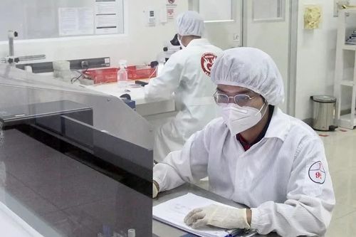 Cải thiện không gian phát triển kinh tế nội địa