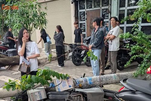 Hai cây phượng bật gốc kéo đổ trụ điện, đè nhiều xe máy và ô tô ở TP HCM