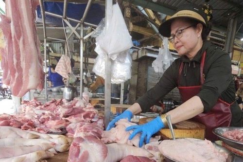 Giá heo hơi hôm nay 10/10: Có dấu hiệu chững đà giảm sâu, mặt bằng giá duy trì trong khoảng 51.000 - 54.000 đồng/kg