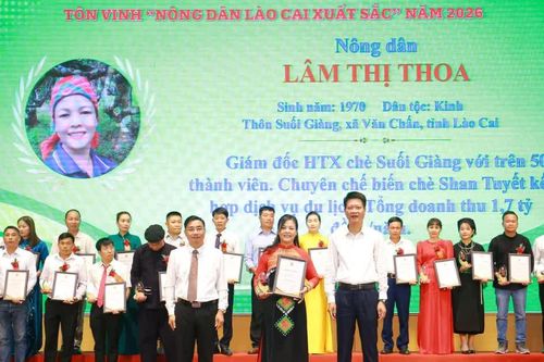 Lào Cai tôn vinh 96 nông dân xuất sắc năm 2026