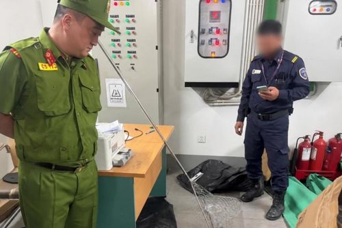 Phát hiện động vật hoang dã xuất hiện tại khu đô thị ở Hà Nội