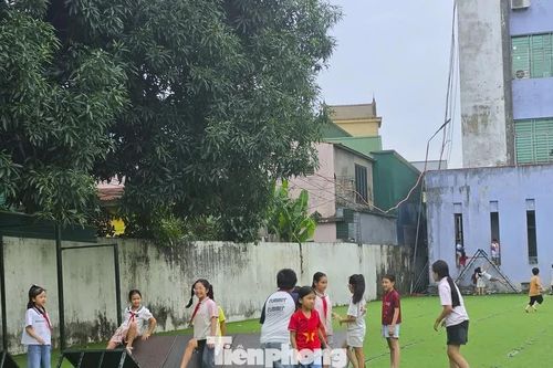 Hàng nghìn học sinh Nghệ An 'mắc kẹt' trong cảnh học thuê nhiều năm