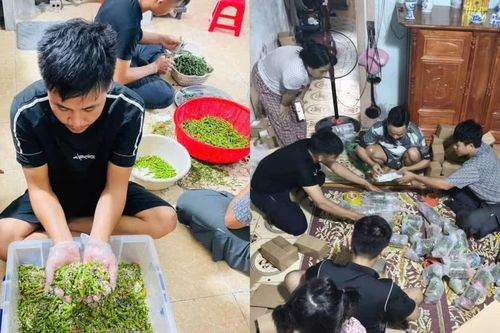 'Bão đơn' ớt muối sau lời cầu cứu đừng mua hàng của vợ