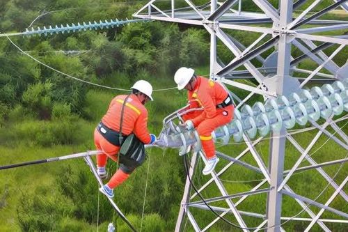 Tổng Công ty Truyền tải điện Quốc gia trước ngã rẽ tách khỏi EVN
