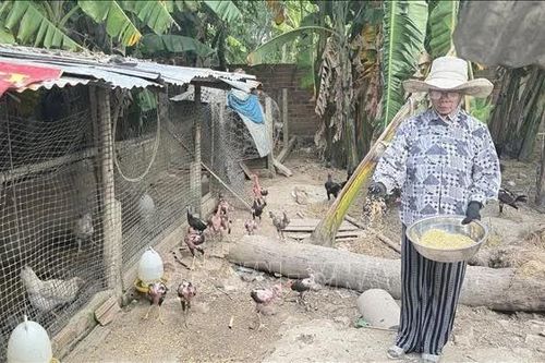 Đắk Lắk: 44 xã, phường đề nghị hoàn trả hơn 155 tỷ đồng hỗ trợ