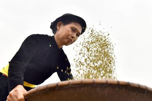 Lễ hội cốm Thuận Hòa, nơi hòa mình vào văn hóa Tày