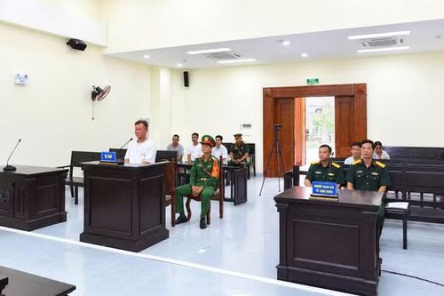 Cưa hạ 21 cây cao su của Binh đoàn 15, người đàn ông lĩnh án