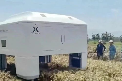 Trung Quốc phát triển robot AI chọn giống lúa mì, tích hợp kinh nghiệm của chuyên gia
