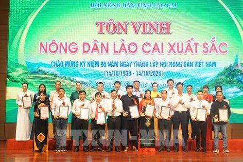 Lào Cai tôn vinh 96 nông dân xuất sắc năm 2026