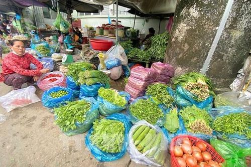 Giải pháp nào tăng nguồn cung rau củ khi thời tiết bất lợi?