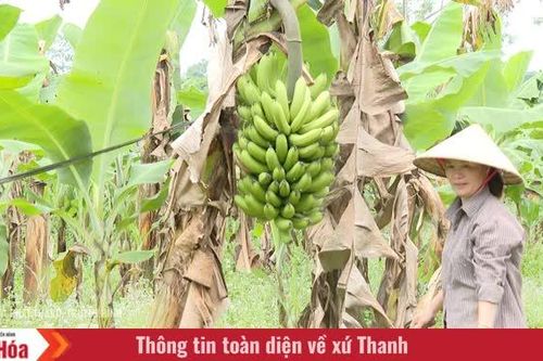 Học kỹ thuật để đổi cách làm