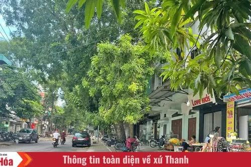 Phố sạch, ngõ đẹp