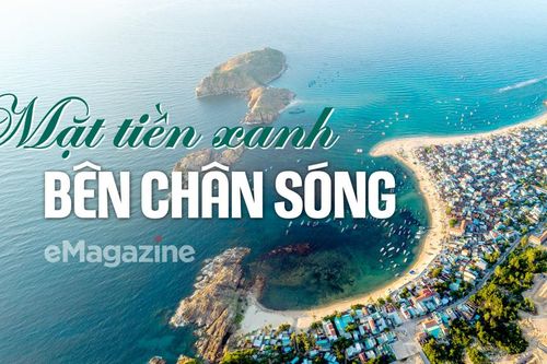Mặt tiền xanh bên chân sóng