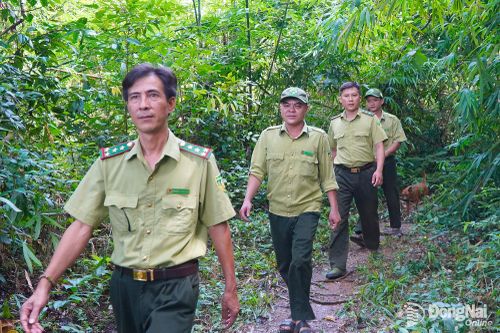 Giữ rừng mùa măng