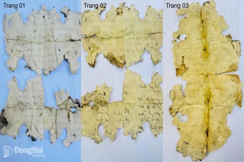 Phát hiện đơn xin vào Đảng dài 6 trang của liệt sĩ
