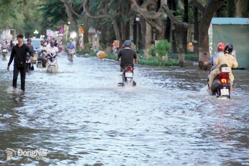 Triều cường sông Đồng Nai vượt kỷ lục, một số tuyến đường bị ngập