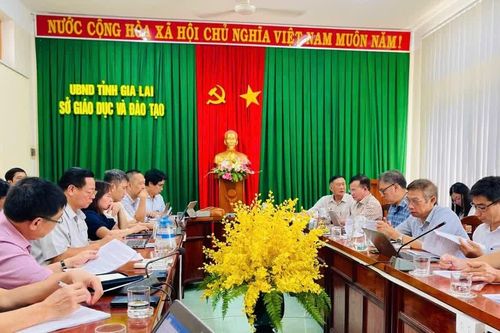 Khảo sát kết quả thực hiện Chiến lược phát triển giáo dục đến năm 2030, tầm nhìn đến năm 2045