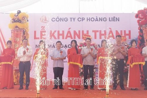 Khánh thành Nhà máy gạch Tuynel Tam Đường