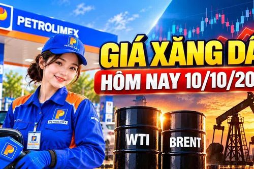 Giá xăng dầu hôm nay 10/10/2026: Dầu thế giới tiếp tục tăng
