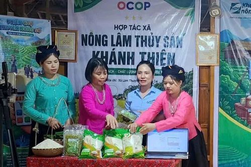 Chuyển đổi số ở Lào Cai: Lấy hiệu quả thực chất làm thước đo