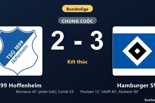 Thống kê trận đấu 1899 Hoffenheim 2-3 Hamburger SV: Hamburger SV ngược dòng ngoạn mục