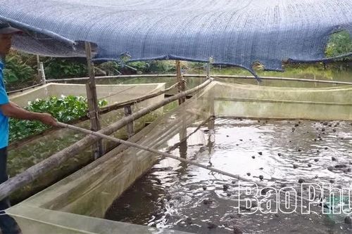 Giai đoạn 2026-2030, Phú Thọ được hỗ trợ hơn 4.651 tỷ đồng thực hiện các chương trình mục tiêu quốc gia