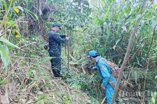 Trồng rừng bản địa trên dãy Trường Sơn